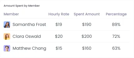 Project budgeting software shows detailed expenditure by task and team member