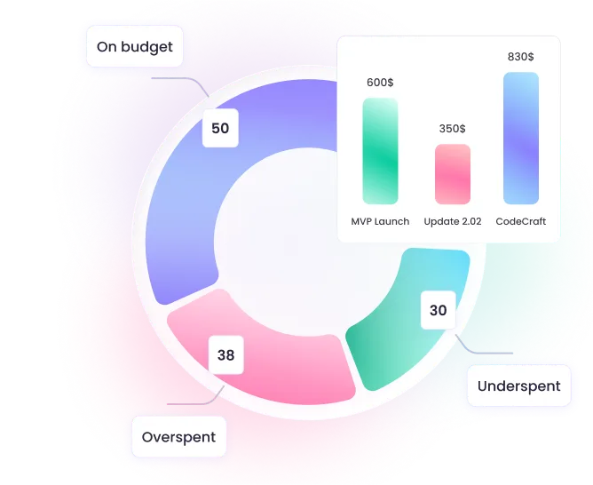 Ready charts with Project Budgeting Data